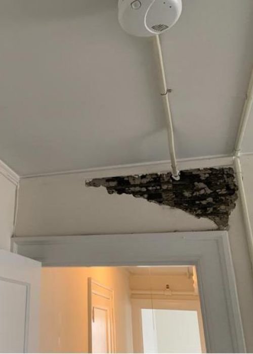 nomads-vermont-painting-services079